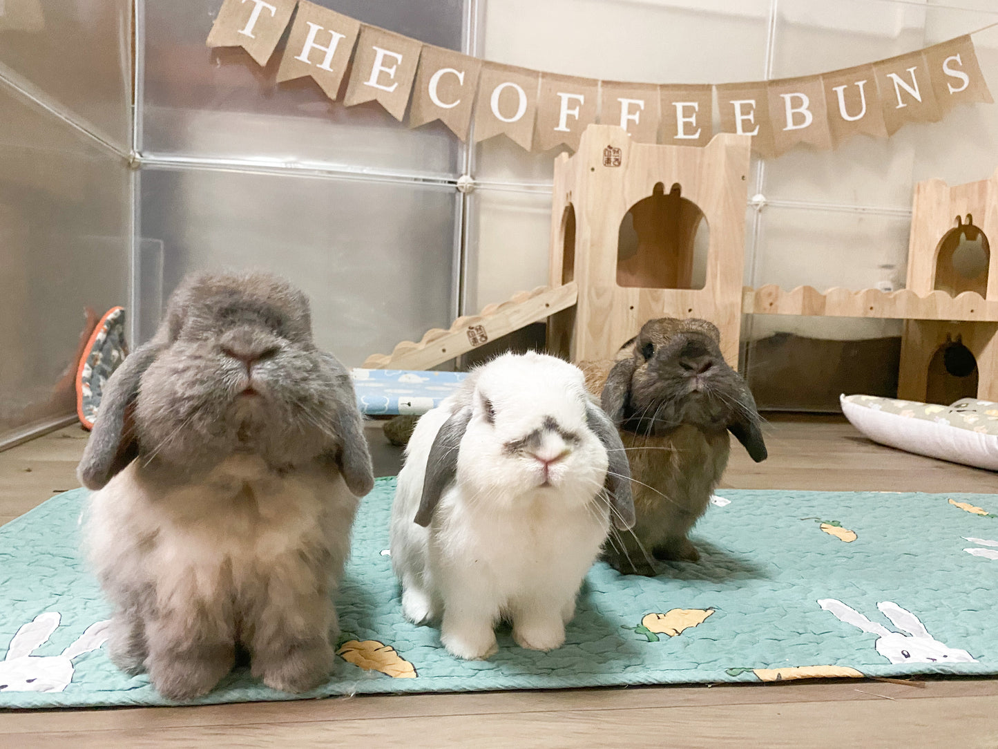 Binkies Mats