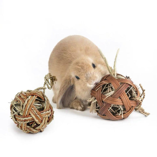 Willow/Timothy Snack Hay Ball
