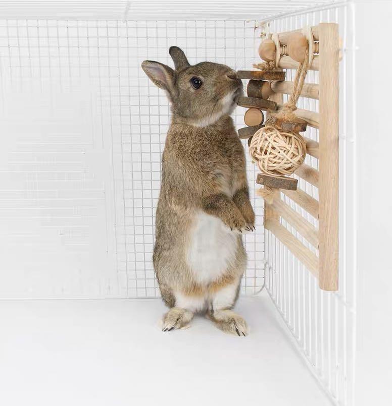 Wooden Wall with Hanging Toy