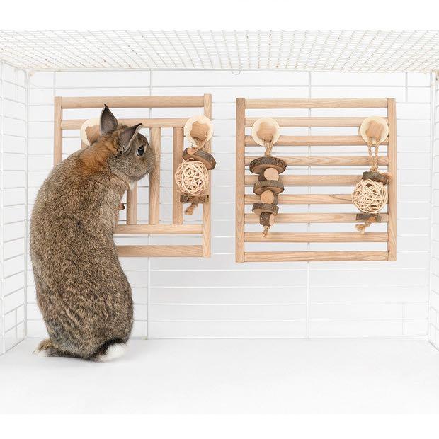 Wooden Wall with Hanging Toy